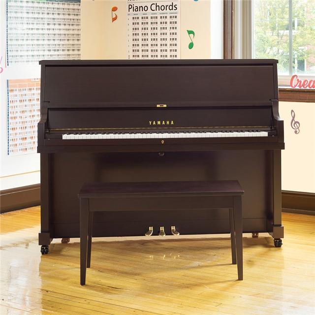 Yamaha Music - P22D SE in Saddle Brook NJ