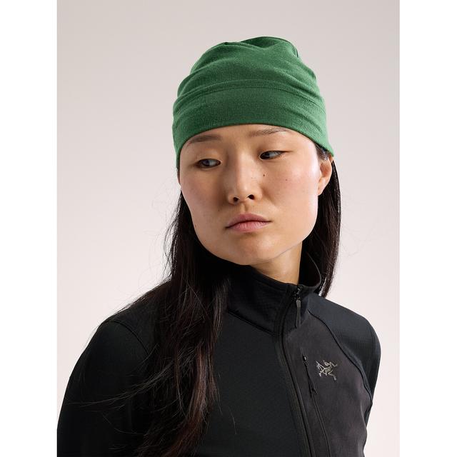 Arc'teryx - Rho Lightweight Wool Toque