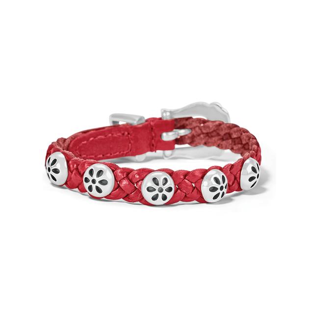 Brighton - Daisy Bandit Bracelet in Concord NC