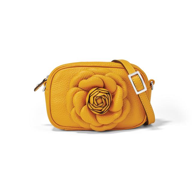 Brighton - Rosie Mini Camera Bag in Malvern AR