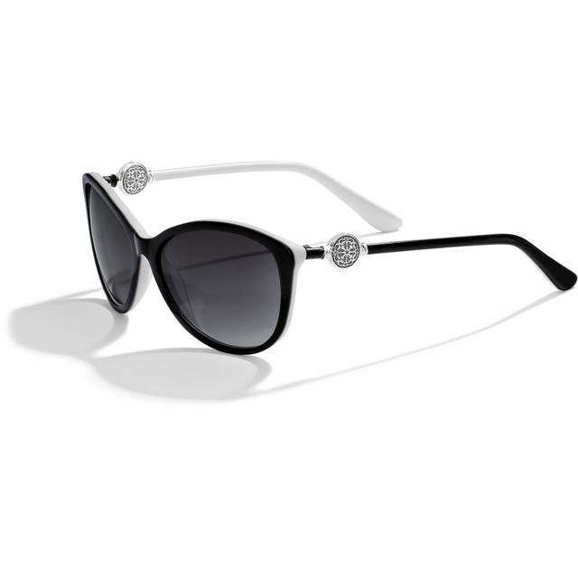 Brighton - Ferrara Sunglasses