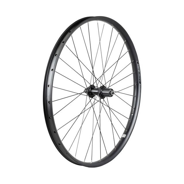 Electra - Townie Path 9D EQ Centerlock Disc 27.5" Wheel in Athens OH