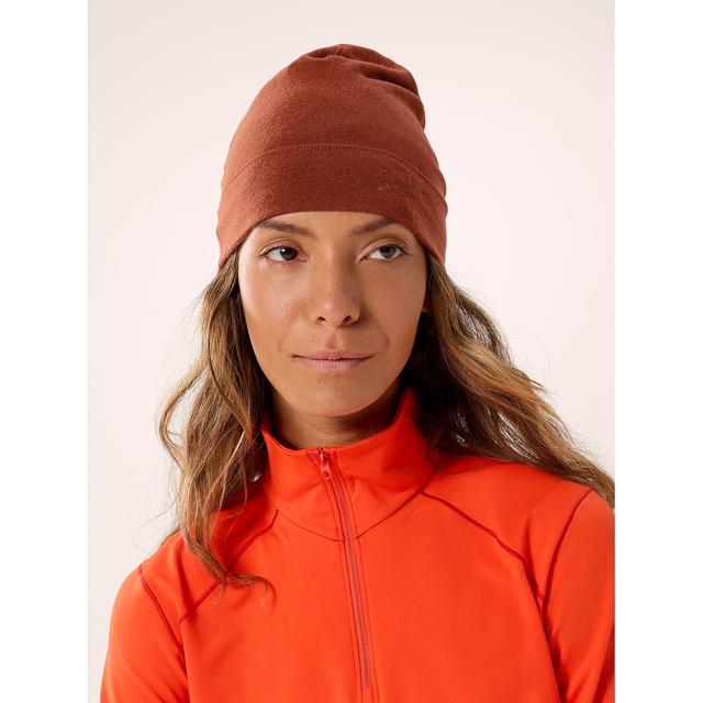 Arc'teryx - Rho Lightweight Wool Toque